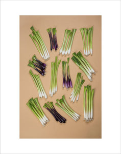 A plate of Salad Onion