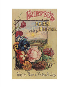 Front Cover Burpee's catalogue