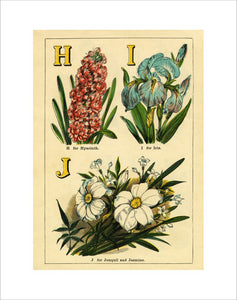 H for Hyacinth, I for Iris, J for Jonquil and Jasmine