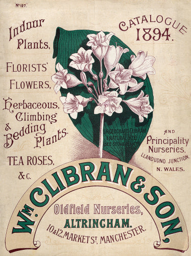 Catalogue 1894