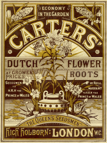 Carters' Nursery catalogue.