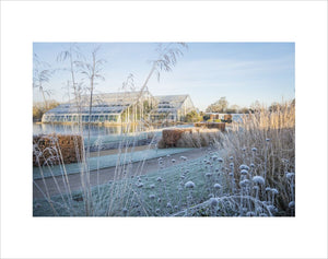 Glasshouse borders in Winter, RHS Wisley Garden