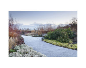 The Winter Garden with frost on the path, RHS Garden Hyde Hall. December 2018.