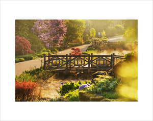 Bridge over the Long Ponds in spring at RHS Garden Wisley.