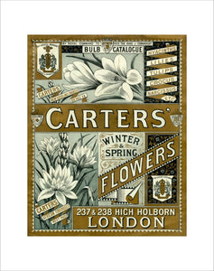 Carters'  Winter and Spring Flowers