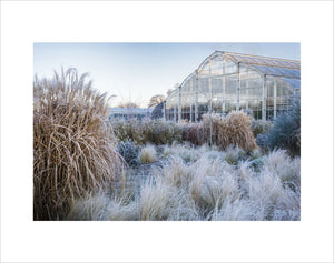 Glasshouse borders in Winter, RHS Wisley Garden