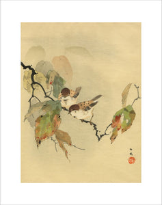 Sparrows with autumn leaves
