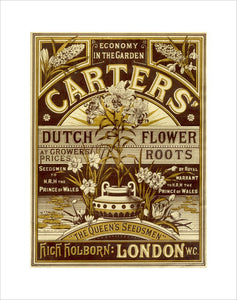 Carters' Nursery catalogue.