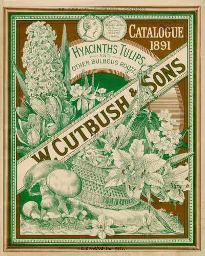 W Cutbush & Sons catalogue 1891