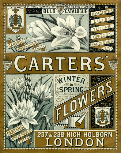 Carters'  Winter and Spring Flowers