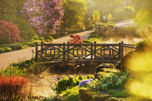 Bridge over the Long Ponds in spring at RHS Garden Wisley.